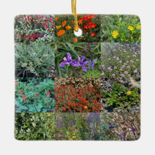 California Native Colors 2020 Ceramic Ornament