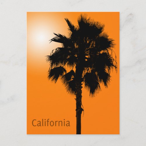 California Palm Postcard