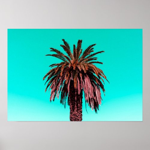 California Palm Tree Poster