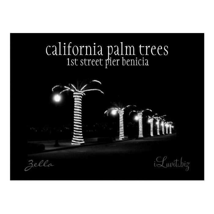 CALIFORNIA PALM TREES by iLuvit.biz   post card