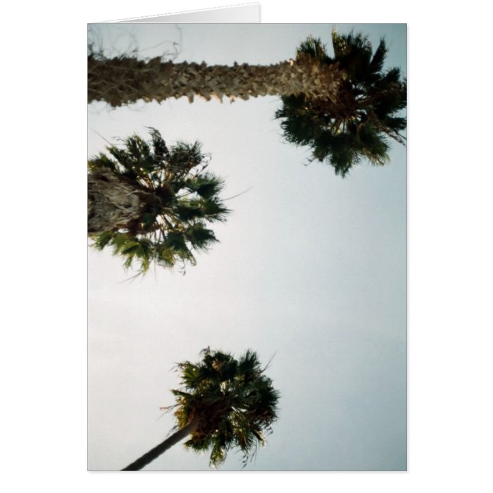 California Palm Trees Greeting Cards