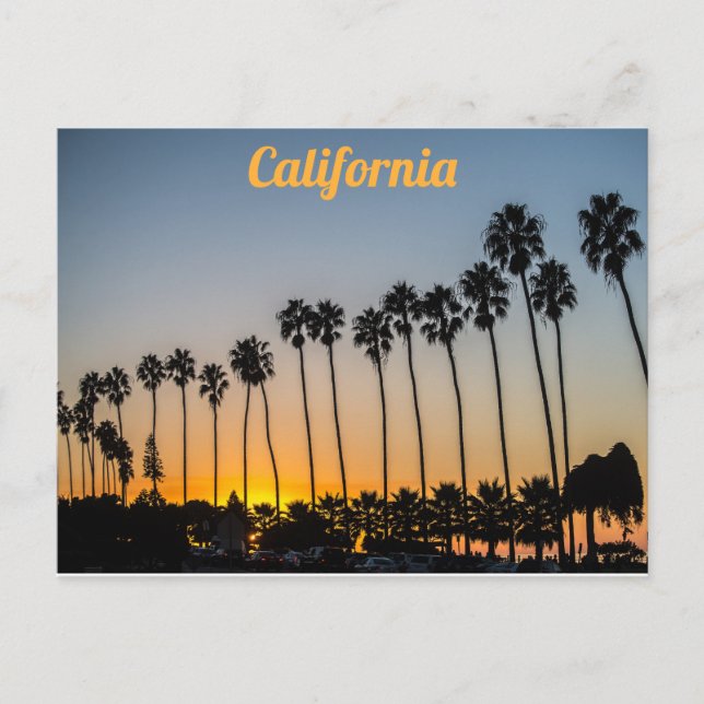 California Palm Trees on the Beach at Sunset Postcard (Front)
