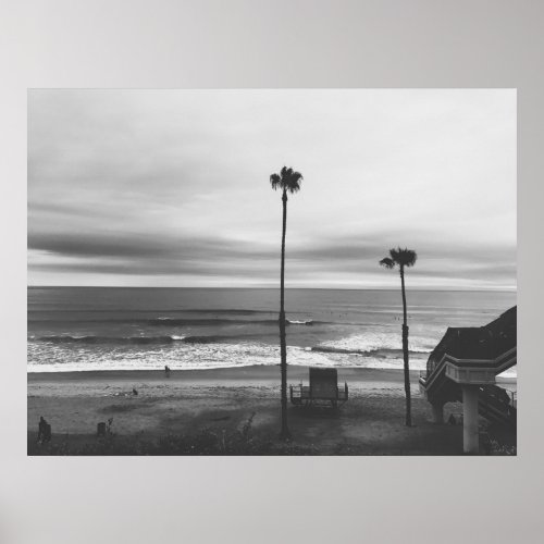 California Palm Trees Poster