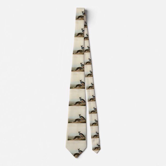 California Partridge - Audubon's Birds of America Neck Tie (Front)