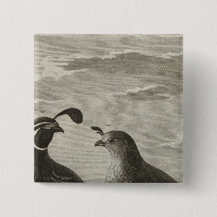 California Pinback Button