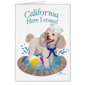 California Poodle (Front)