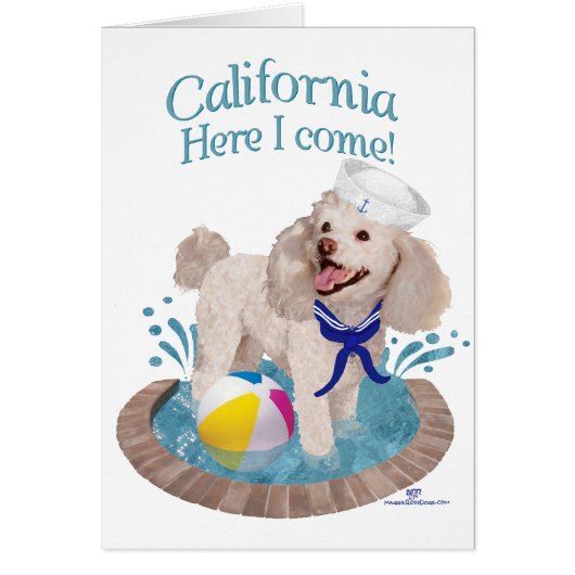 California Poodle Cards (Front)