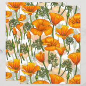 California poppies (Front/Back)