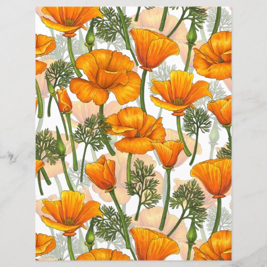 California poppies (Front)