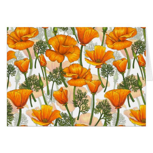 California poppies (Front Horizontal)