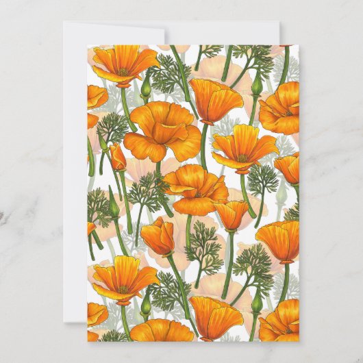 California poppies (Front)