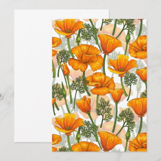 California poppies (Front/Back)