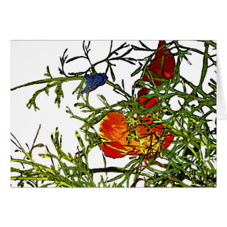 California poppies abstract cards