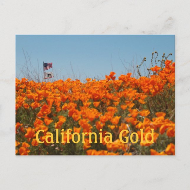 California Poppies And American Flag Post Card (Front)
