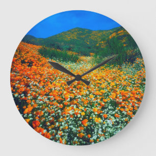 California Poppies and Popcorn wildflowers Large Clock