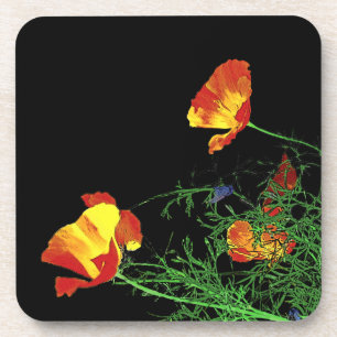 California poppies beverage coaster