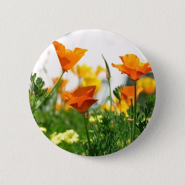 California Poppies Button (Front)