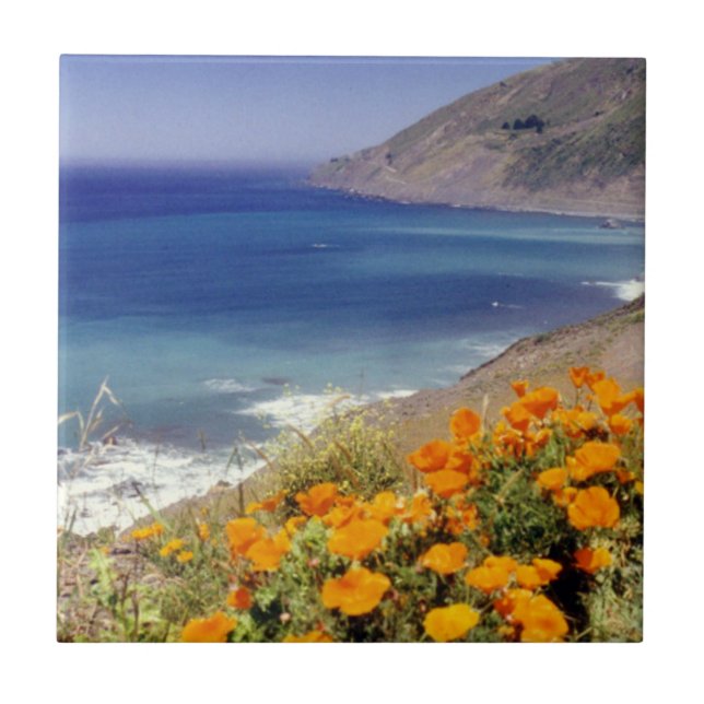 California Poppies Ceramic Tile (Front)