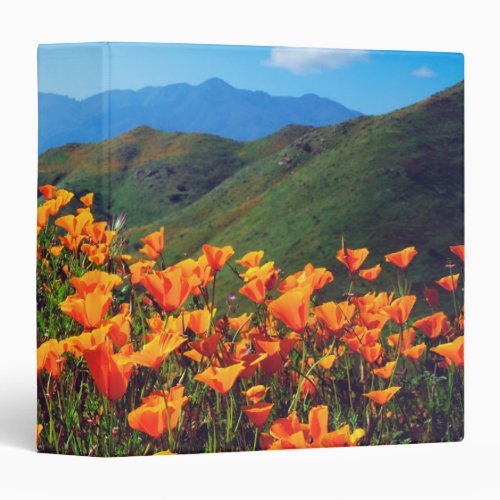 California poppies covering a hillside 3 ring binder