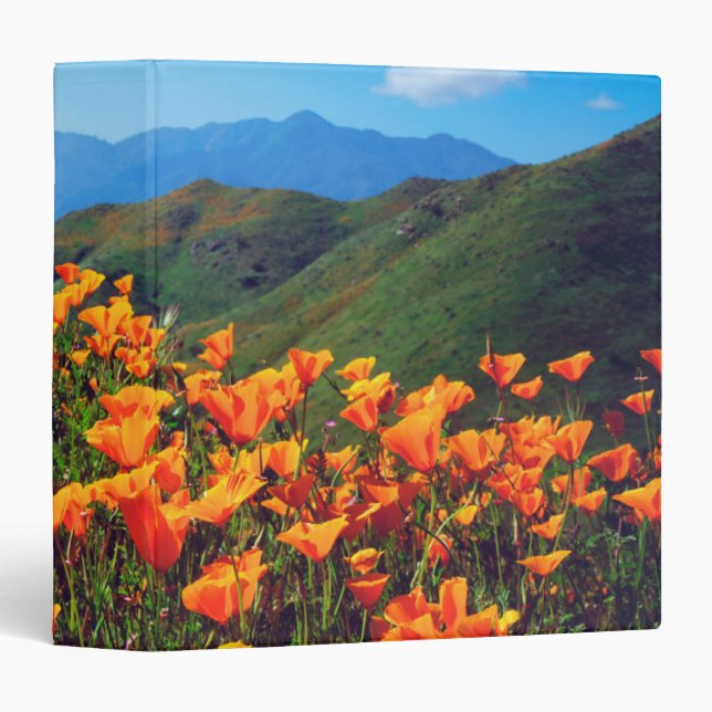 California poppies covering a hillside 3 ring binder (Front/Spine)