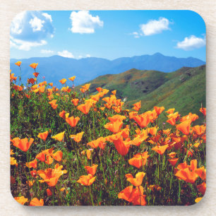 California poppies covering a hillside beverage coaster