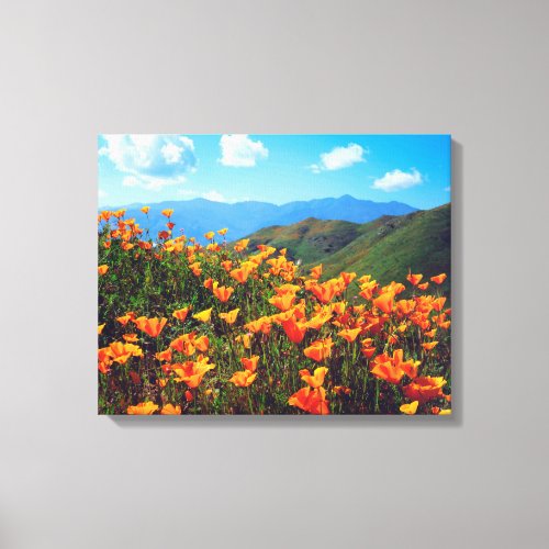 California poppies covering a hillside canvas print