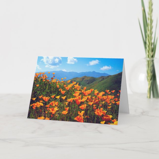 California Poppies Covering a Hillside Card (Front)