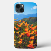 California poppies covering a hillside