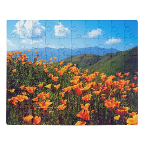 California Poppies Covering a Hillside Jigsaw Puzzle