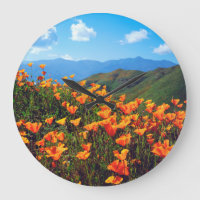 California poppies covering a hillside