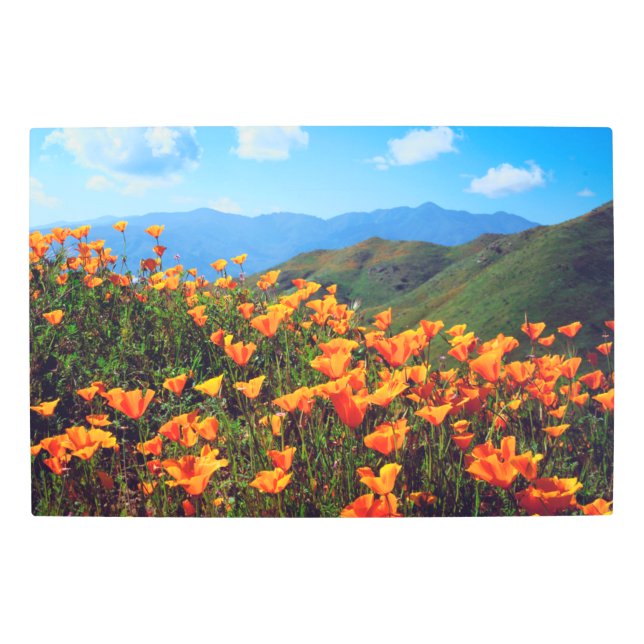 California Poppies Covering a Hillside Metal Print (Front)
