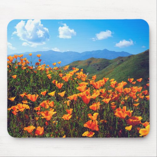 California Poppies Covering a Hillside Mouse Pad