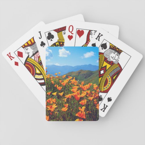 California poppies covering a hillside poker cards