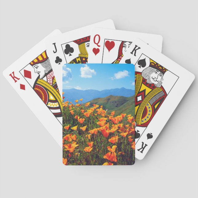 California poppies covering a hillside poker cards (Back)