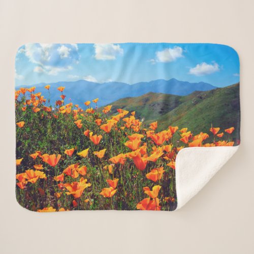 California Poppies Covering a Hillside Sherpa Blanket