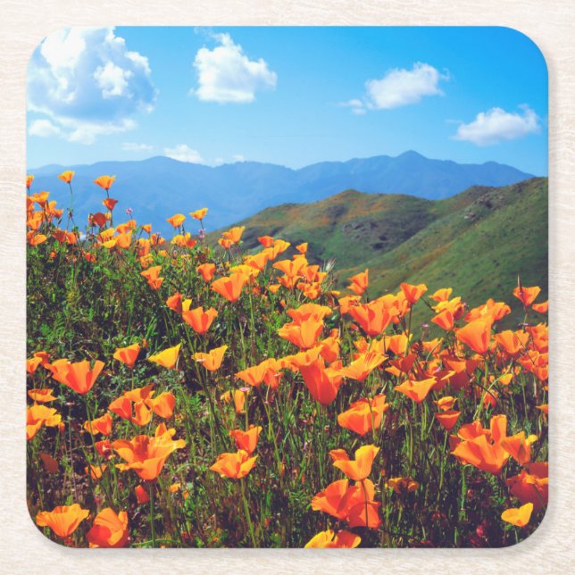 California poppies covering a hillside square paper coaster (Front)