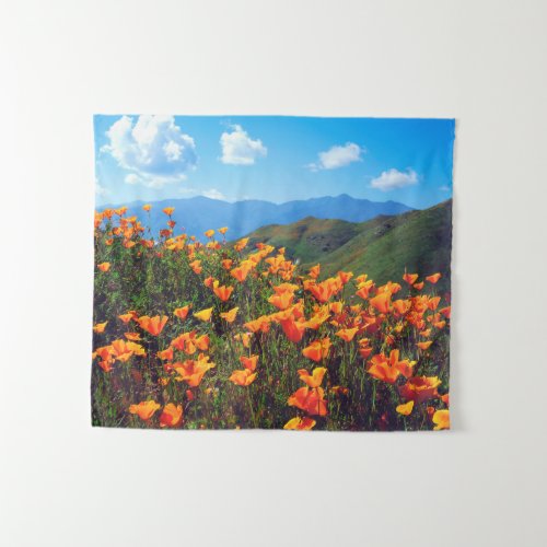 California Poppies Covering a Hillside Tapestry
