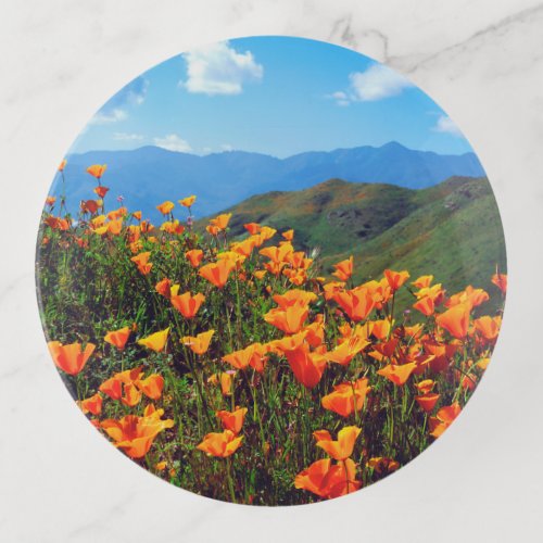 California Poppies Covering a Hillside Trinket Tray