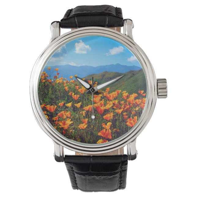 California poppies covering a hillside watch (Front)