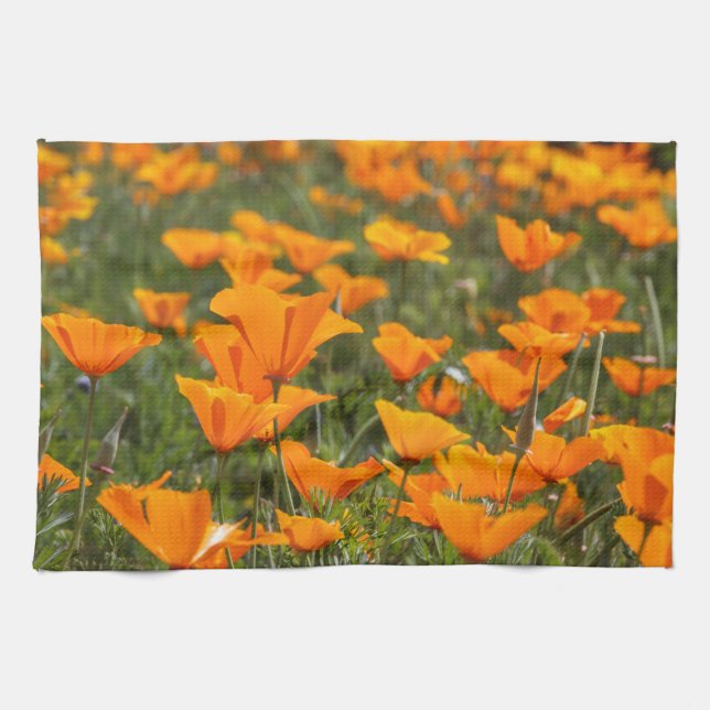 California Poppies Field Kitchen Towels (Horizontal)