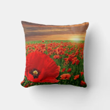 California Poppies Field 