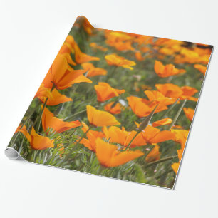 California Poppies Field Wrapping Paper