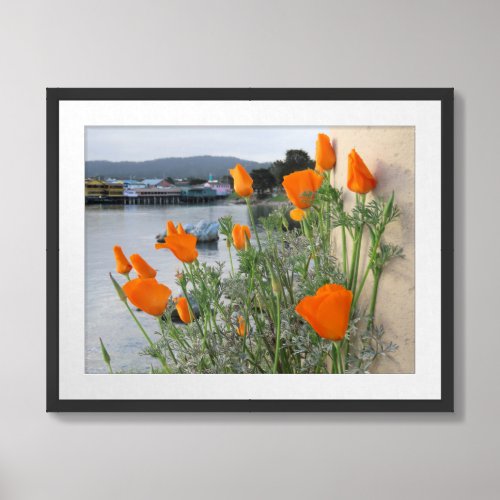California Poppies  Framed Art