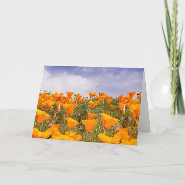 California Poppies Landscape Card (Front)