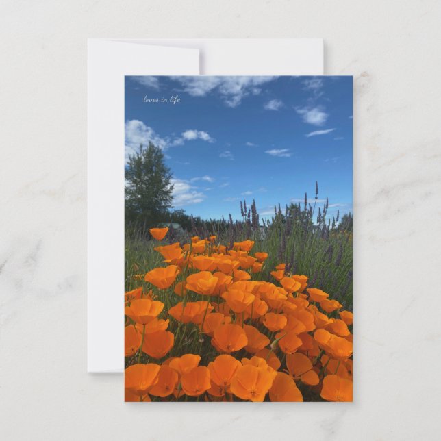 California Poppies & Lavender Note Card (Front)