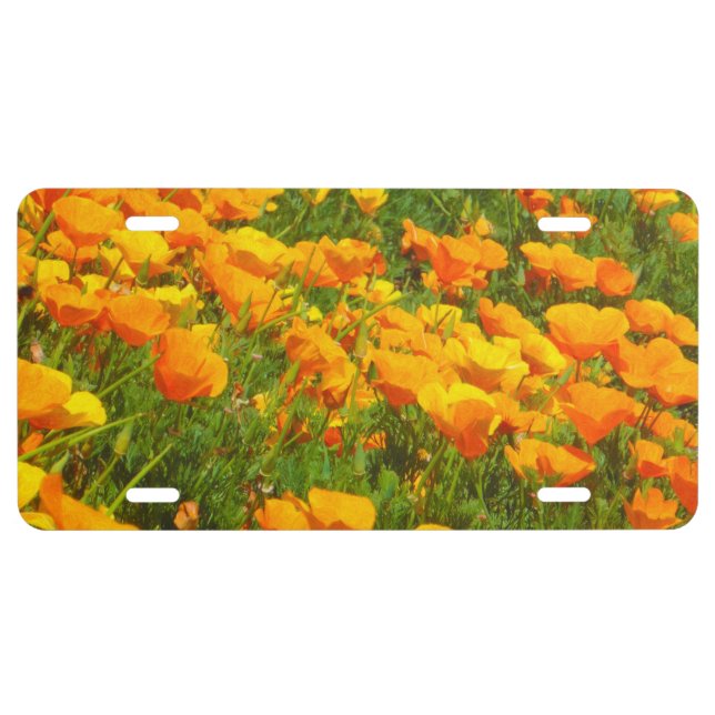 California Poppies License Plate (Front)
