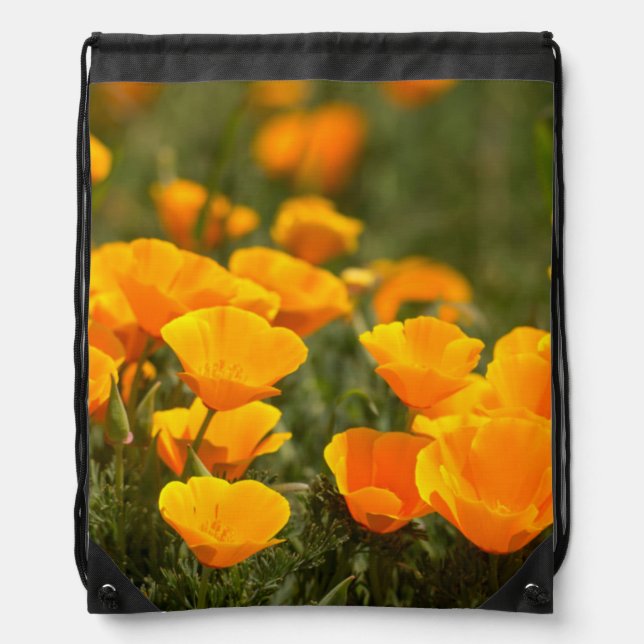 California poppies, Montana de Oro State Park Drawstring Bag (Front)