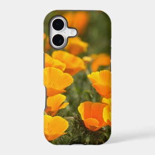 California poppies, Montana de Oro State Park iPhone 17 Case