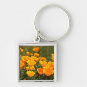 California poppies, Montana de Oro State Park Keychain