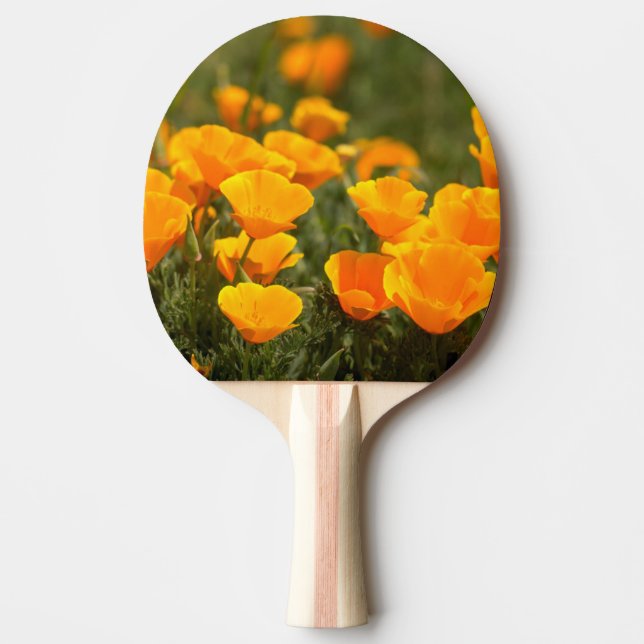 California poppies, Montana de Oro State Park Ping-Pong Paddle (Front)